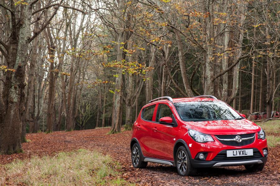  Vauxhall Viva Rocks 2017 года  (фото 5 из 32)
